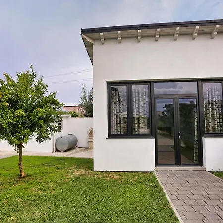 Willa Holliday Tirana